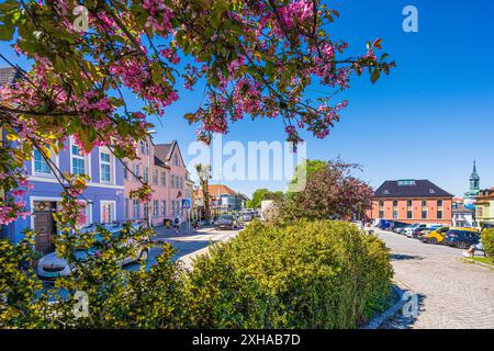 Printemps à Klosteret à Bergen, Norvège. Banque D'Images