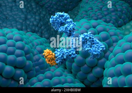 Traitement par anticorps monoclonaux dans le cancer de la prostate - gros plan illustration 3D. Banque D'Images