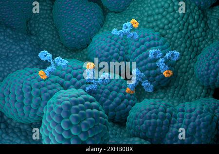 Traitement par anticorps monoclonaux dans le cancer de la prostate - vue isométrique illustration 3D. Banque D'Images