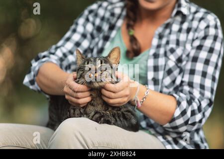 femme dans une chemise à carreaux sourit, tenant un chat tabby ravi. Le comportement détendu du du chat suggère qu'il profite d'une séance de soins comme un spa Banque D'Images