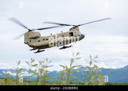 Un hélicoptère CH-47F Chinook de la Garde nationale de l'Alaska participe à l'entraînement avec le détachement 1, 3rd Air support Operations Squadron air tactique c Banque D'Images