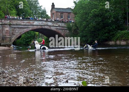 Lavage de chevaux, River Eden, Appleby Horse Fair, Appleby-in-Westmorland, Cumbria, ROYAUME-UNI Banque D'Images