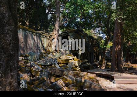 Ancienne porte en pierre et ruines moussuées effondrées envahies par les racines d'arbres au temple de Ta Prohm, Angkor, Siem Reap, Cambodge Banque D'Images