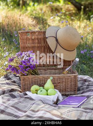 Panier pique-nique avec articles et couverture dans un pré de fin d'été Banque D'Images