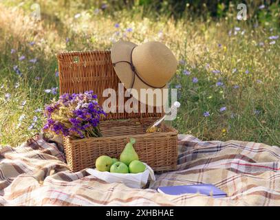 Panier pique-nique avec articles et couverture dans un pré de fin d'été Banque D'Images