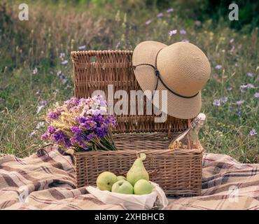 Panier pique-nique avec articles et couverture dans un pré de fin d'été Banque D'Images