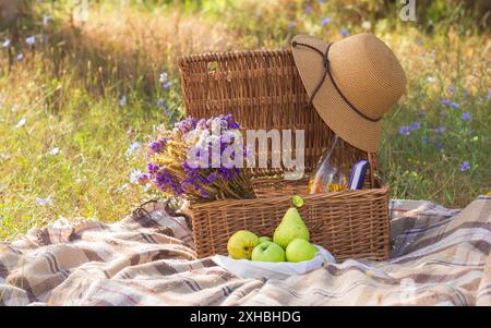 Panier pique-nique avec articles et couverture dans un pré de fin d'été Banque D'Images