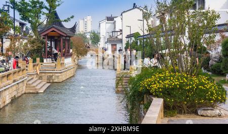 Fleurs jaunes et maisons blanches au canal de Suzhou, Chine Banque D'Images