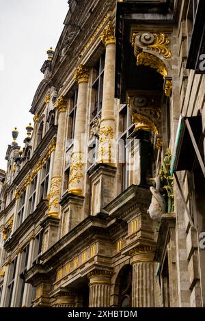 La Cygne sur la Grand place à Bruxelles, Belgique. Banque D'Images