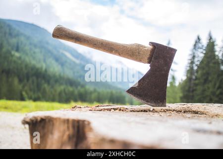 Gros plan de la vieille hache attachée à un tronc d'arbre, campagne Banque D'Images