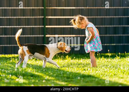 Bébé fille debout avec chien beagle dans la cour dans la journée d'été. Animal domestique avec concept d'enfants. Chien avec 2-3 ans Banque D'Images