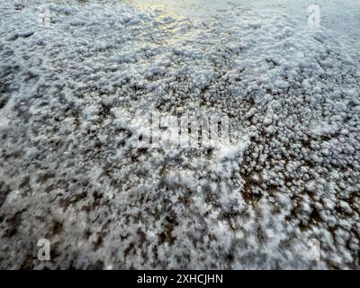 Gros plan détaillé d'une formation de sel naturel, présentant des structures cristallisées sur une surface avec des textures et des motifs uniques. Banque D'Images