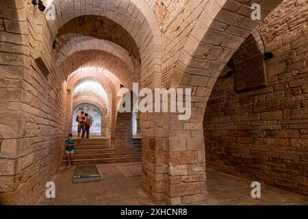 Église pré-romane, monastère royal de San Juan de la Pena, Botaya, Huesca, Aragon, Espagne Banque D'Images