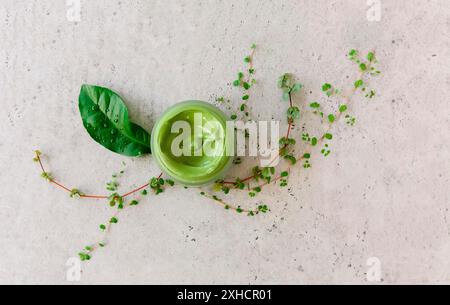 Vue de dessus du masque en argile vert naturel dans un pot en verre disposé sur la table avec des plantes fraîches Banque D'Images