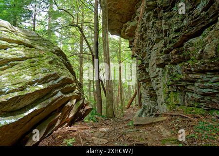 Un sentier à travers la forêt avec un terrain accidenté avec des arbres tombés des falaises au-dessus et entre d'énormes rochers entourés de vieux arbres de croissance dans un sh Banque D'Images