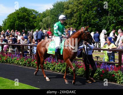 Line of Force et le jockey Callum Rodriguez dans le ring de parade avant les bet365 Superlative Stakes le jour de la Coupe de juillet lors du Festival de juillet 2024 à Newmarket Racecourse. Date de la photo : samedi 13 juillet 2024. Banque D'Images