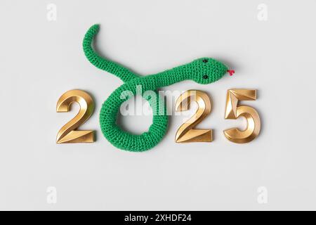 Jouet tricoté rayé serpent vert et numéros or. Symbole de l'année 2025 sur fond gris. Banque D'Images