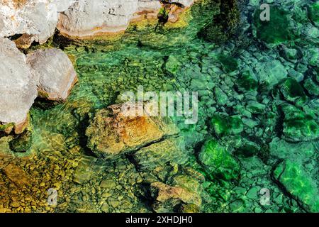 L'eau verte claire coule sur les rochers dans un ruisseau peu profond, révélant les pierres lisses sous la surface. Banque D'Images