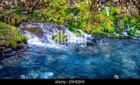 Un ruisseau bleu clair coule sur des rochers couverts de mousse dans un cadre forestier luxuriant. Banque D'Images