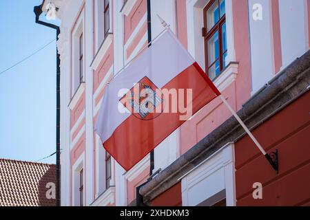 Tartu, Estonie - 25 mai 2024 : gros plan du drapeau de la ville de Tartu. Banque D'Images