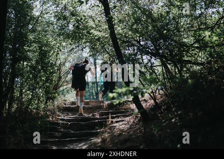 Randonneurs marchant sur un sentier forestier à travers une forêt luxuriante par une journée ensoleillée Banque D'Images