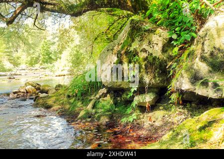 Côte rocheuse de la rivière de montagne Alando pris en gros plan à l'ombre des arbres dans le canton de Genève, Suisse. Image rendue HDR ; Banque D'Images