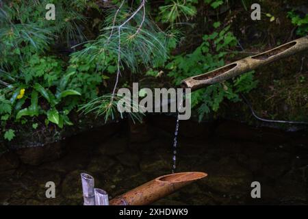 Fontaine de bambou traditionnelle japonaise Shishi-Odoshi 鹿威し) qui coule de l'eau dans un étang paisible dans un jardin luxuriant. Banque D'Images