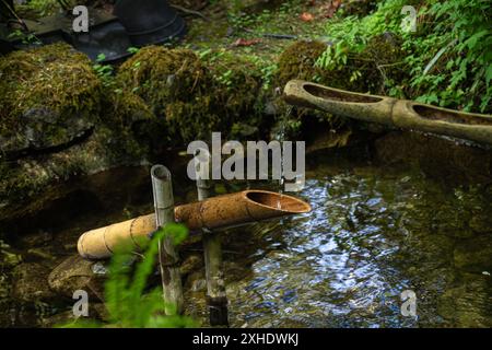 Fontaine de bambou traditionnelle japonaise Shishi-Odoshi 鹿威し) qui coule de l'eau dans un étang paisible dans un jardin luxuriant. Banque D'Images