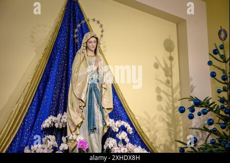 Statue de la Vierge Marie (représentée comme notre-Dame de Lourdes), dans l'église Saint-Jacques à Medjugorje, Bosnie-Herzégovine. Banque D'Images