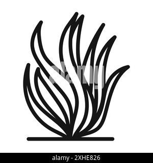 Icône d'algues symbole vectoriel ou collection d'ensemble de signes dans un contour noir et blanc Illustration de Vecteur