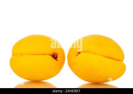 Deux abricots mûrs, macro, isolés sur fond blanc. Abricots à l'ananas Banque D'Images