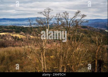 Arbre, colline et forêt profonde, montagne Ore au printemps. Viwe de Angel Hill (Andelska hora), république tchèque. Banque D'Images