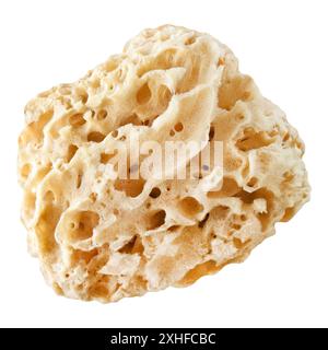 Éponge de mer de corps naturel isolé sur fond blanc Banque D'Images