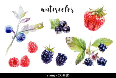 Aquarelle baies illustration fraises, bleuets, mûres, framboises Banque D'Images