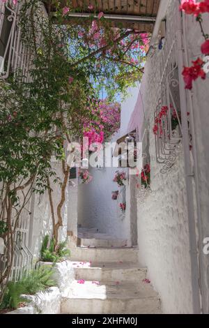 Pittoresques chemins pavés étroits et maisons traditionnelles dans la vieille ville à côté du château ottoman à Marmaris, Turquie. Banque D'Images