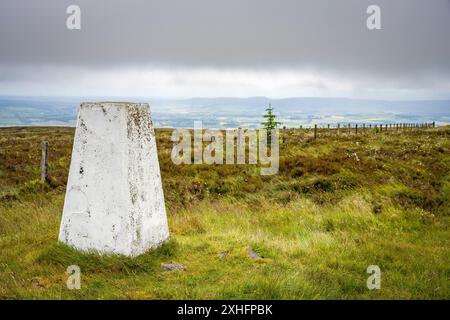 Pilier de triangulation (trig point) sur le sommet de Wether Cairn, Cheviot Hills, Northumberland Banque D'Images