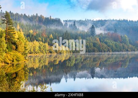 Un lac tranquille dans une forêt avec le feuillage d'automne et la brume se reflétant sur l'eau calme par temps clair. Banque D'Images