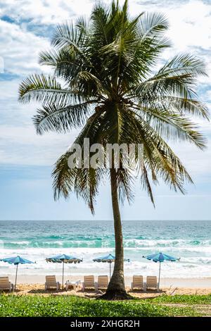 Vacances dans les pays tropicaux. Chaises de plage, parasol et palmiers sur Patong Beach Thaïlande. Plage tropicale paysage mer d'Andaman, île de Phuket. Été t Banque D'Images