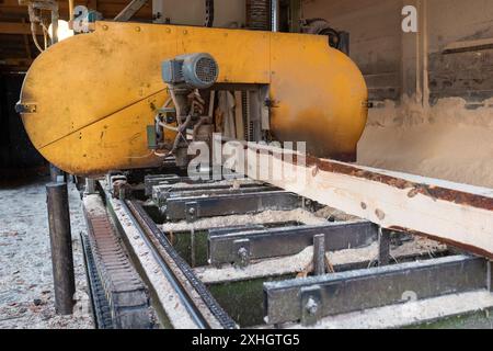 Traitement de planches de bois dans une scierie. Le processus de traitement des grumes dans l'équipement d'une scierie a vu un tronc d'arbre sur des planches. Banque D'Images