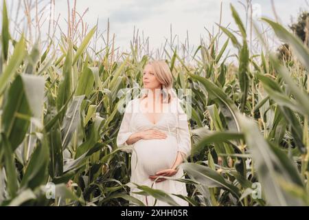 Femme enceinte blonde dans un champ de maïs Banque D'Images