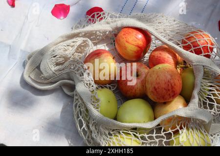 Pommes vertes et rouges avec des feuilles dans un sac mech en coton blanc. Sac à provisions écologique réutilisable photo rapprochée. Pommes mûres dans un sac à ficelle Banque D'Images