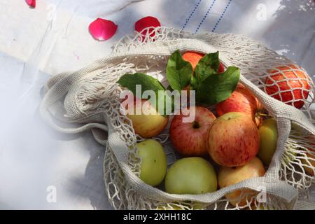 Pommes vertes et rouges avec des feuilles dans un sac mech en coton blanc. Sac à provisions écologique réutilisable photo rapprochée. Pommes mûres dans un sac à ficelle Banque D'Images