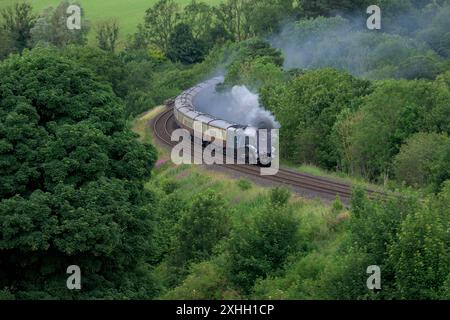 Sir Nigel Gresley locomotive transporte le Settle et Carlisle Fellsman à travers Cumbria, en direction du sud à Armathwaite Corner. Banque D'Images