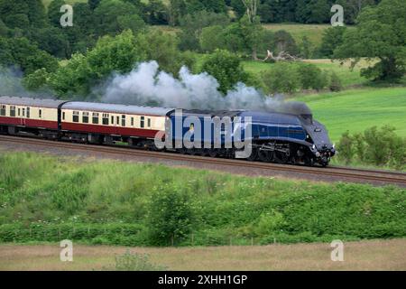 Sir Nigel Gresley locomotive transporte le Settle et Carlisle Fellsman à travers Cumbria, en direction du sud à Armathwaite Corner. Banque D'Images