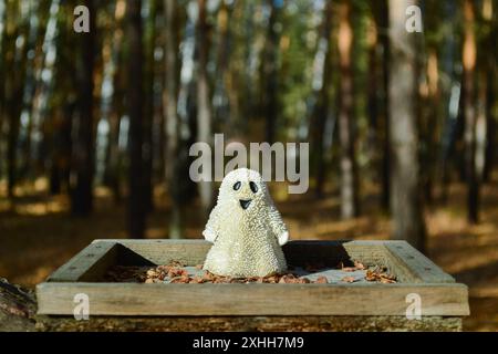 Fantôme jouet souriant se tient sur une planche de bois dans la forêt d'automne Banque D'Images