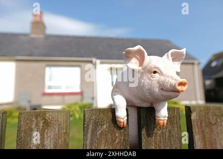 Une figure de porc ornement de jardin donne sur une clôture en bois dans le jardin avant d'une maison de bungalow au Royaume-Uni Banque D'Images