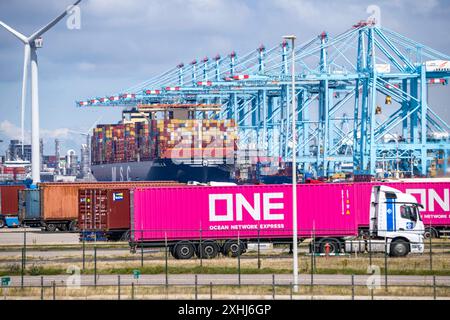 Der Seehafen von Rotterdam, Niederlande, Tiefseehafen Maasvlakte 2, auf einer künstlich angelegten Landfläche vor ursprünglichen Küste, APM Container Terminals, LKW Hat Container im Hafen abgeholt und transportiert sie weiter, Containerhafen Rotterdam *** le port maritime de Rotterdam, pays-Bas, port profond Maasvlakte 2, sur une zone terrestre artificielle au large de la côte originale, APM Container Terminals, camion a ramassé des conteneurs dans le port et les transporte plus loin, port à conteneurs de Rotterdam Banque D'Images