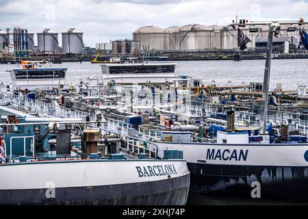 Binnentankschiffe warten auf neue Ladung, im Petroleumhaven, Seehafen von Rotterdam, Maasvlakte, Rotterdam Niederlande, Petroleumhaven *** bateaux-citernes intérieurs en attente de nouvelles cargaisons, dans le Petroleumhaven, port maritime de Rotterdam, Maasvlakte, Rotterdam pays-Bas, Petroleumhaven Banque D'Images