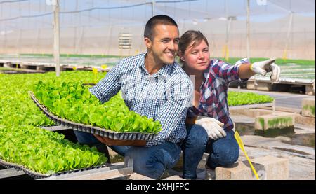 Homme fermier tenant des plateaux pour semis en serre. Femme habile pointant et racontant quelque chose à un homme Banque D'Images