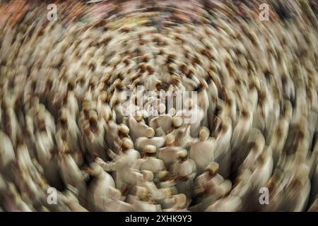 Najaf, Irak. 14 juillet 2024. Les musulmans chiites effectuent des rituels de deuil lors d'une procession religieuse avant le jour de l'Ashura, le dixième jour du mois sacré de Muharram. Ashura commémore le martyre de l'imam Hussein, petit-fils du prophète de l'islam Mohammed, dans la bataille de la ville irakienne de Karbala au VIIe siècle. Crédit : Ismael Adnan/dpa/Alamy Live News Banque D'Images